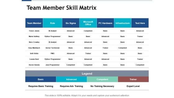 Team Member Skill Matrix Ppt PowerPoint Presentation Portfolio Graphics Design