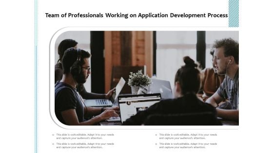 Team Of Professionals Working On Application Development Process Ppt PowerPoint Presentation File Slide Download PDF