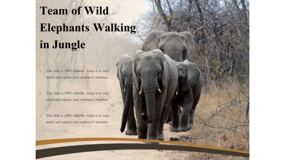 Team Of Wild Elephants Walking In Jungle Ppt PowerPoint Presentation Information PDF