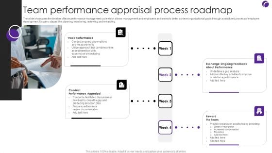 Team Performance Appraisal Process Roadmap Download PDF