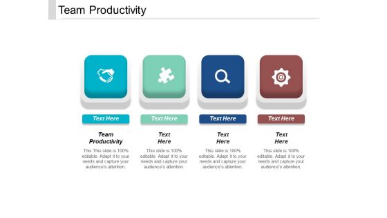 Team Productivity Ppt PowerPoint Presentation File Slides Cpb