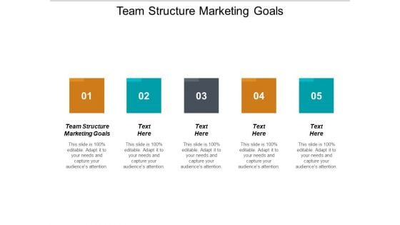 Team Structure Marketing Goals Ppt PowerPoint Presentation Gallery File Formats Cpb