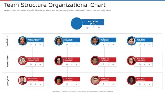 Team Structure Organizational Chart Ppt Infographics Example Introduction PDF