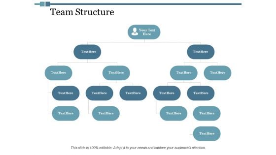 Team Structure Ppt PowerPoint Presentation Portfolio Topics