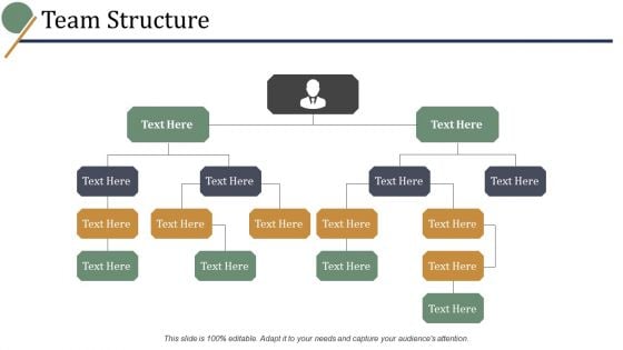 Team Structure Ppt PowerPoint Presentation Styles Template