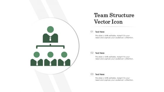 Team Structure Vector Icon Ppt PowerPoint Presentation Infographics Pictures PDF