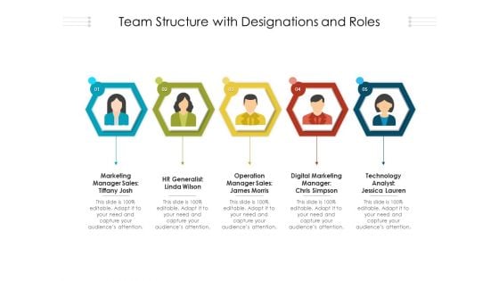 Team Structure With Designations And Roles Ppt PowerPoint Presentation Gallery Samples PDF