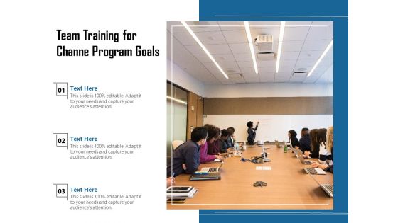 Team Training For Channe Program Goals Ppt PowerPoint Presentation Diagram Ppt PDF