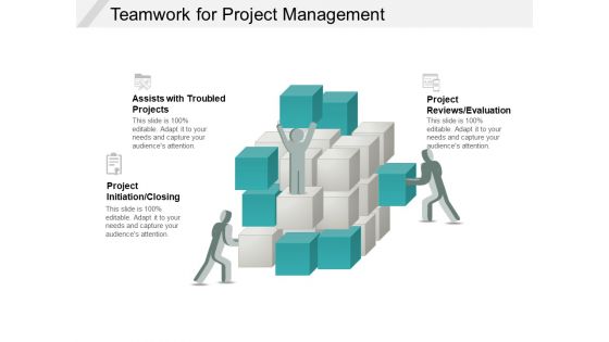 Teamwork For Project Management Ppt PowerPoint Presentation Pictures Diagrams