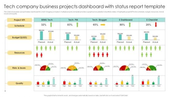 Tech Company Business Projects Dashboard With Status Report Template Brochure PDF