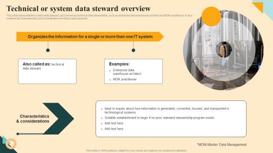 Technical Or System Data Steward Overview Inspiration PDF