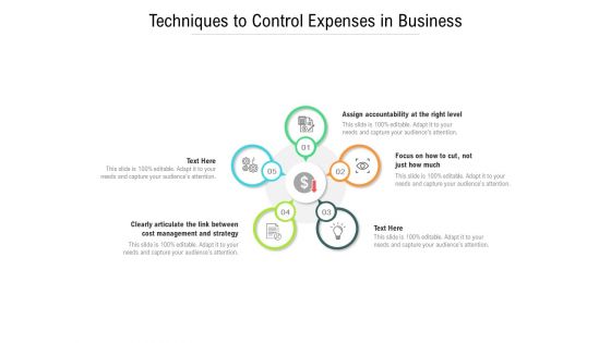 Techniques To Control Expenses In Business Ppt PowerPoint Presentation Infographics Visual Aids