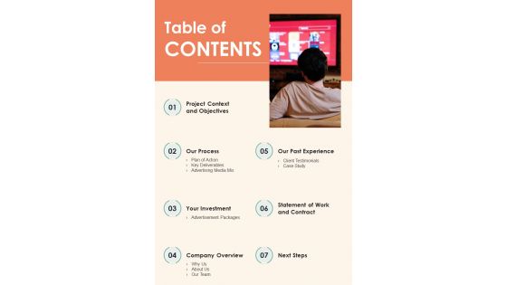 Television Commercial Service Proposal Table Of Contents One Pager Sample Example Document