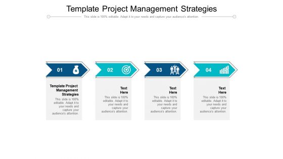 Template Project Management Strategies Ppt PowerPoint Presentation Inspiration Files Cpb Pdf