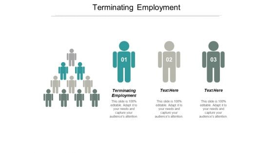 Terminating Employment Ppt PowerPoint Presentation Layouts Designs Cpb