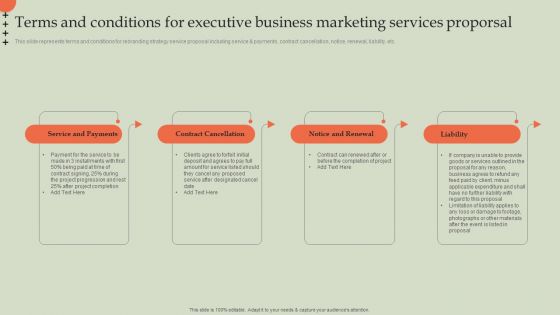 Terms And Conditions For Executive Business Marketing Services Proporsal Formats PDF
