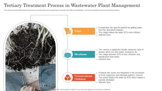 Tertiary Treatment Process In Wastewater Plant Management Ppt Professional Smartart PDF