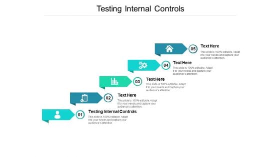 Testing Internal Controls Ppt PowerPoint Presentation Gallery Outline Cpb