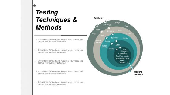 Testing Techniques And Methods Ppt PowerPoint Presentation Infographic Template Themes