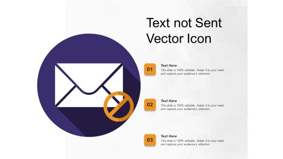 Text Not Sent Vector Icon Ppt PowerPoint Presentation Portfolio Gallery PDF