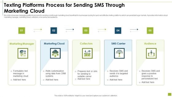 Texting Platforms Process For Sending SMS Through Marketing Cloud Formats PDF