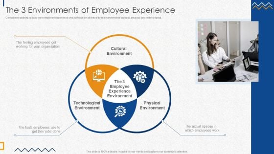 The 3 Environments Of Employee Experience Information PDF