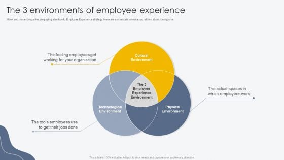 The 3 Environments Of Employee Experience Process For Building Employee Friendly Pictures PDF