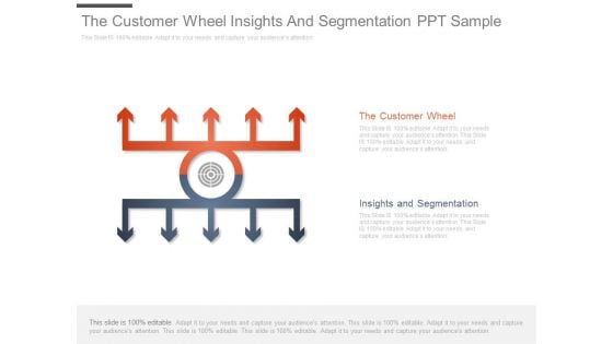 The Customer Wheel Insights And Segmentation Ppt Sample