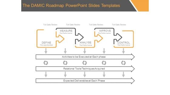 The Damic Roadmap Powerpoint Slides Templates The Damic Roadmap Powerpoint Slides Templates
