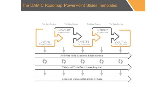 The Damic Roadmap Powerpoint Slides Templates