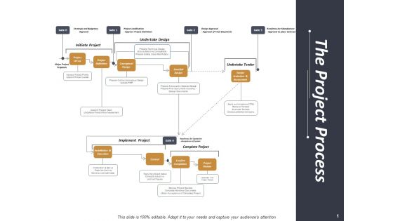 The Project Process Ppt PowerPoint Presentation Model Format Ideas