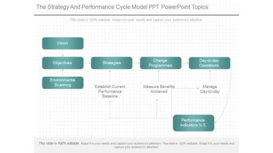 The Strategy And Performance Cycle Model Ppt Powerpoint Topics