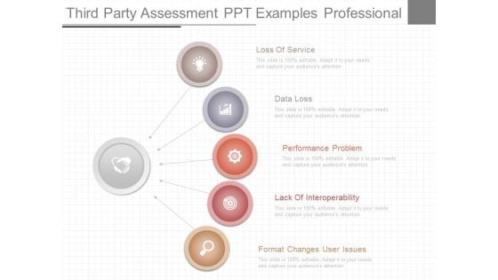 Third Party Assessment Ppt Examples Professional