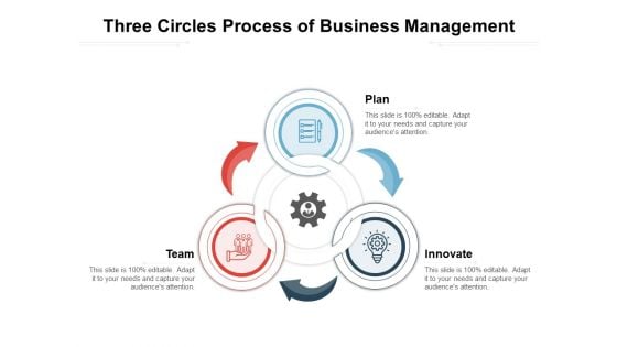 Three Circles Process Of Business Management Ppt PowerPoint Presentation Gallery Pictures PDF