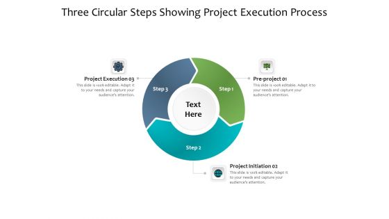 Three Circular Steps Showing Project Execution Process Ppt PowerPoint Presentation Layouts Graphic Tips PDF