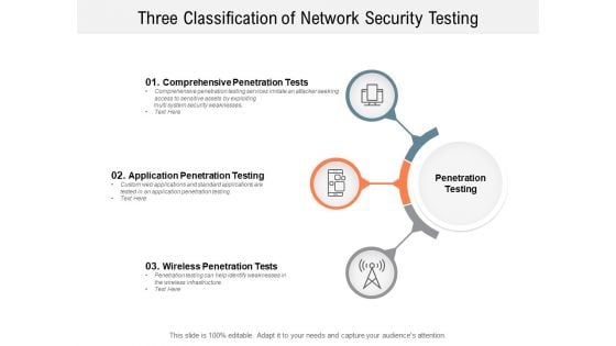 Three Classification Of Network Security Testing Ppt PowerPoint Presentation Slides Demonstration