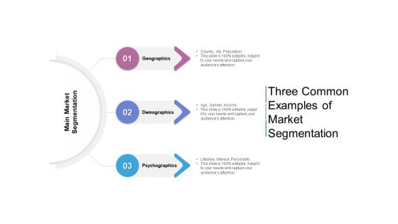 Three Common Examples Of Market Segmentation Ppt PowerPoint Presentation Inspiration Slideshow PDF