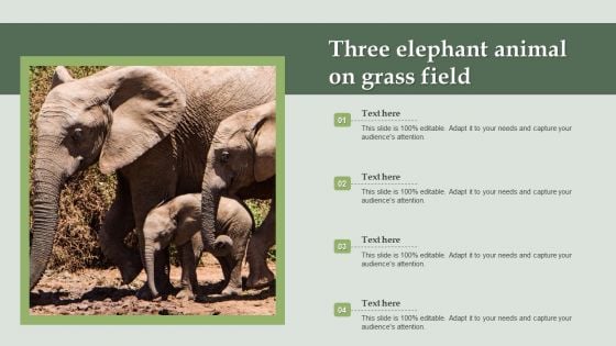 Three Elephant Animal On Grass Field Ppt PowerPoint Presentation Example 2015 PDF