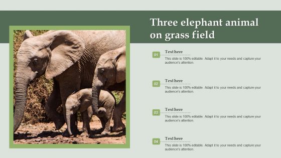 Three Elephant Animal On Grass Field Ppt PowerPoint Presentation Example 2015 PDF Three Elephant Animal On Grass Field Ppt PowerPoint Presentation Example 2015 PDF