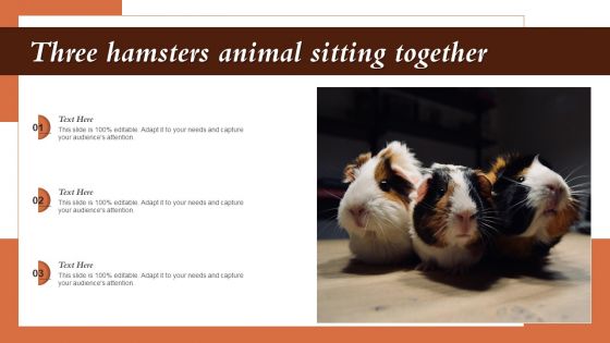 Three Hamsters Animal Sitting Together Ppt PowerPoint Presentation File Background Image PDF