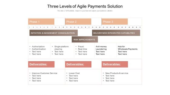 Three Levels Of Agile Payments Solution Ppt PowerPoint Presentation Pictures Example Introduction PDF