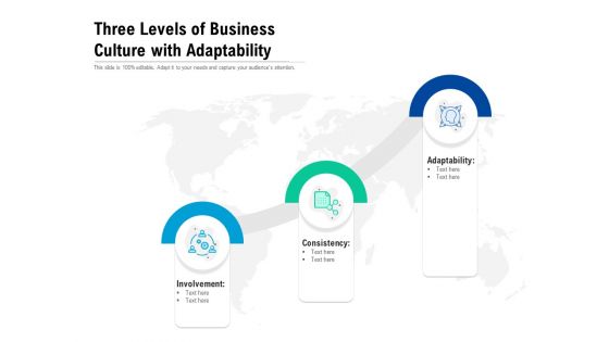Three Levels Of Business Culture With Adaptability Ppt Outline Guide PDF