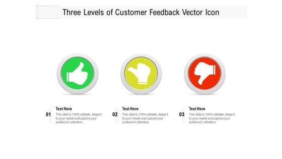 Three Levels Of Customer Feedback Vector Icon Ppt PowerPoint Presentation Portfolio Summary PDF