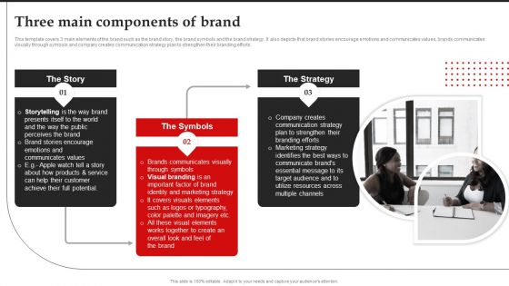 Three Main Components Of Brand Brand Introduction Plan Summary PDF