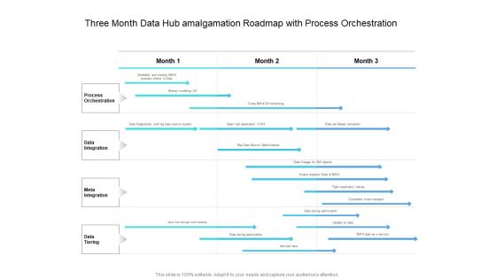 Three Month Data Hub Amalgamation Roadmap With Process Orchestration Diagrams