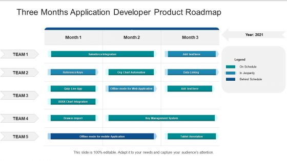 Three Months Application Developer Product Roadmap Pictures