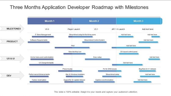 Three Months Application Developer Roadmap With Milestones Formats