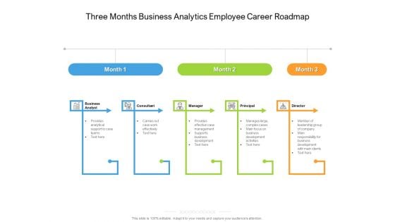 Three Months Business Analytics Employee Career Roadmap Formats