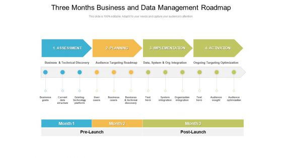 Three Months Business And Data Management Roadmap Download