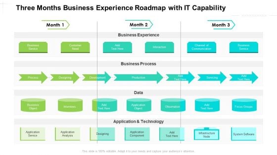 Three Months Business Experience Roadmap With IT Capability Mockup Three Months Business Experience Roadmap With IT Capability Mockup